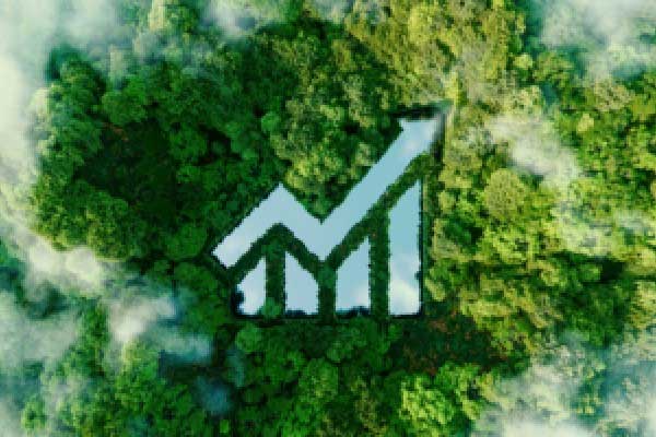 央行发布2027年度总行机关招录公告